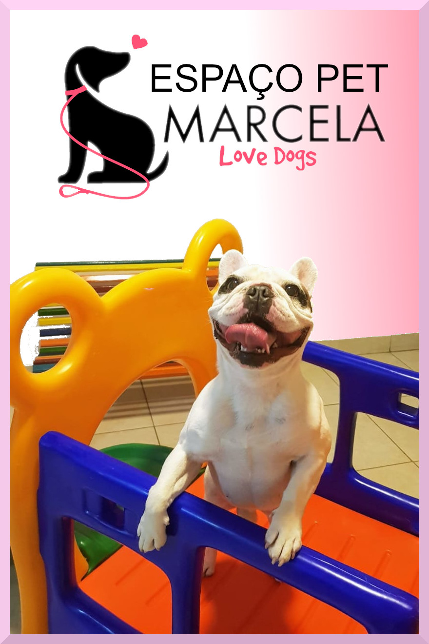 creche marcela love dogs